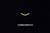 陶環藏品圖，第2張